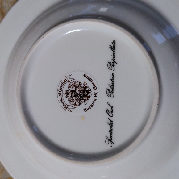 Spectacled Owl Ash tray - Picture 3 of 4